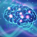 Teadlased tõestasid laserite abil, et ärkveloleku ajal osa ajust „magab“