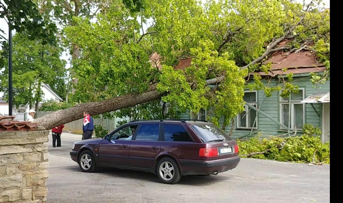 Haapsalus kukkus puu läbi maja katuse