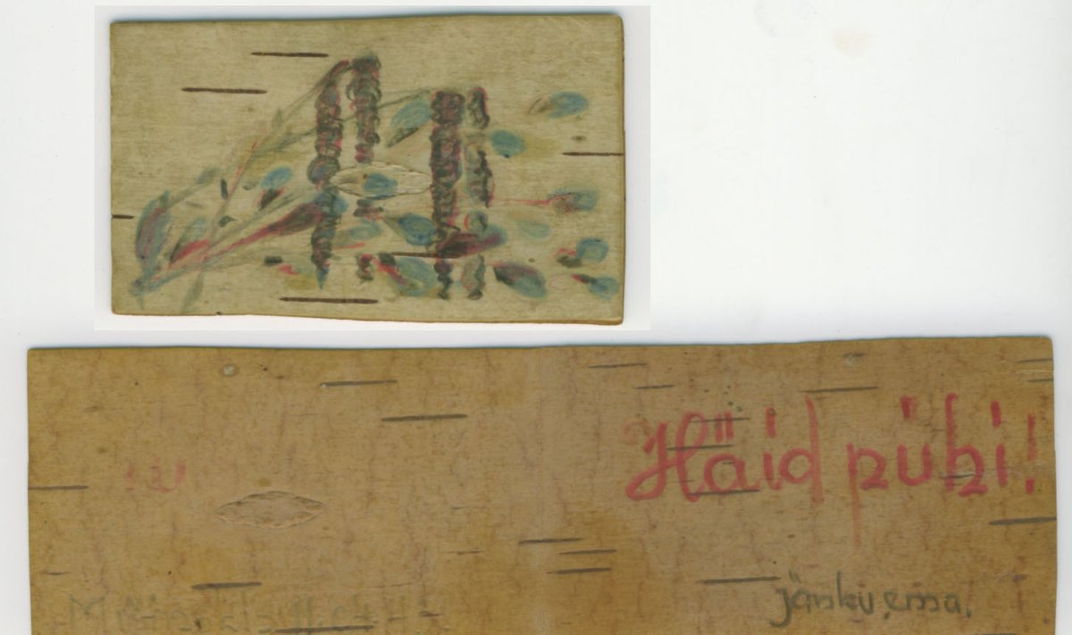 Liis Salu kasetohule joonistatud urbade ja pajutibudega kaardil soovib ta tütar Ehale häid pühi jänku ema poolt. 