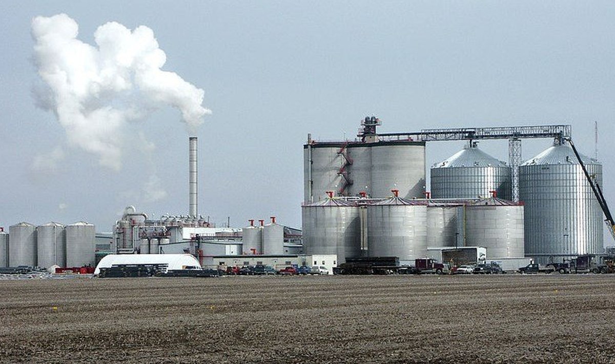 Protsess võimaldaks keskkonnasõbralikumalt biokütust toota. (Foto: Wikimedia Commons)