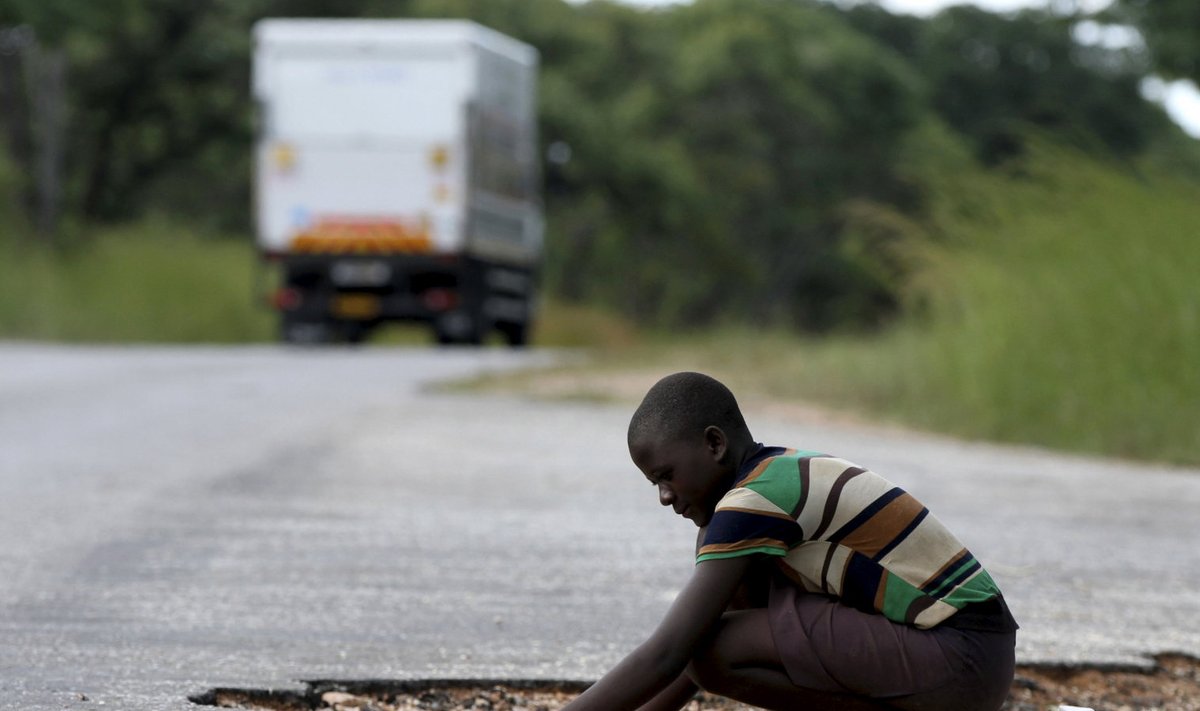 Zambias ei põlata ära ka tee äärest möödunud veokitelt pudenenud teraviljaterade üles korjamist