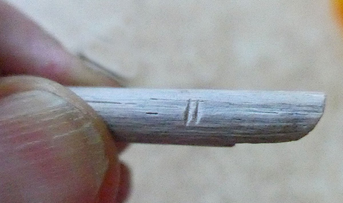Kahe hambajäljega "kaunistatud" kivistunud sauruseluu tükk (Wikimedia Commons / Stuartplotkin)