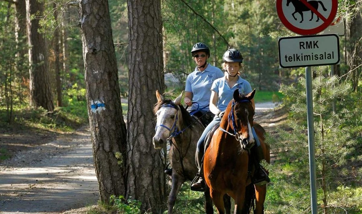 Sellest Meremõisa tee äärde paigaldatud sildist Õnne Halliko ja Merilin Kalbre oma hobustega edasi ratsutada ei tohi.
