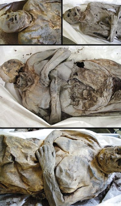 Täiskasvanute muumiad. Foto: A. Urbanavčius / The Lithuanian Mummy Project