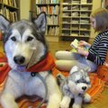 Alanud lemmiklooma sõpruse kuu juhib tähelepanu sellele, et järjest rohkem Eesti terapeute ja pedagooge kasutavad oma töös loomi
