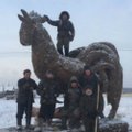 Якутский мастер изваял гигантский символ Нового года из навоза