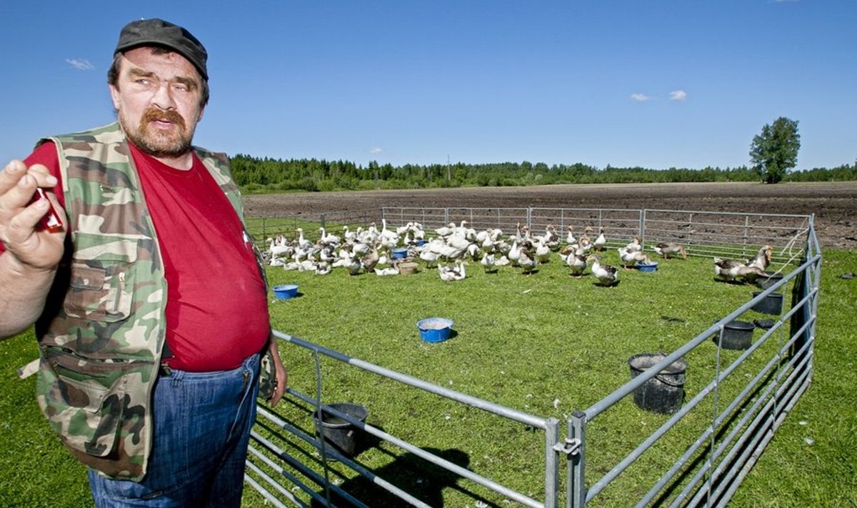 Valgamaa linnukasvataja  Jüri Koppel tahab päästa  vähemalt sugulinnud.
