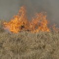 Matsalu looduskaitsealal põles 180 hektarit roostikku, süttimise põhjuseks tõenäoliselt pikselöök