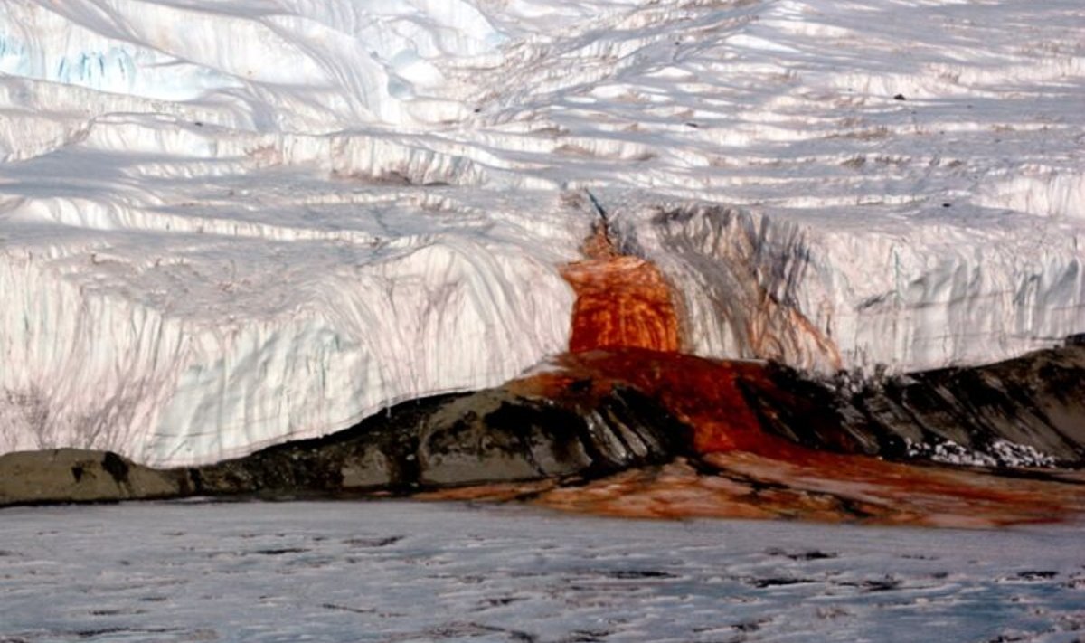 Nn verejuga voolamas Taylor Glacier'i liustikult Bonney järve