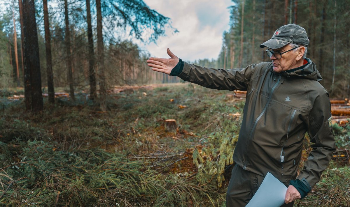 Metsakasvataja Mart Erik kinnitab, et raiutud tükk metsa Kurgja lähistel oli tüüpiline puupõld ehk majandusmets, mida looduskaitsjad eksikombel põlismetsaks peavad.