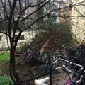 Eestlane Münchenis: raudteejaama lagi kukkus sisse ja koduhoovis läks puu ümber