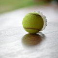 Почему вы должны держать теннисный мяч на кухне?