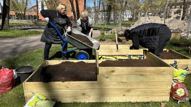 ФОТО И ВИДЕО | Cадовые феи Дома эстонского языка создали свой первый общественный сад