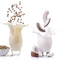 Taimsed ja loomsed piimad: kellele sobib kaerapiim, mida kasulikku sisaldab riisipiim, kes peaks jooma sojapiima?