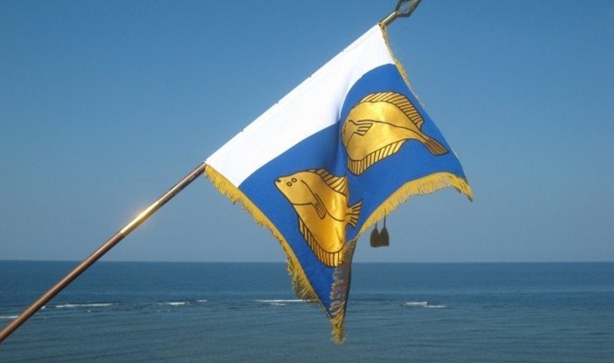 Oma lipp võib olla ka külal. Saaremaa Mustjala valla Panga küla  lipu on kujundanud loo autor Priit Herodes. 23. juunil 2006  Küdema lahel toimunud Eesti esimese mereparaadi mälestuseks  andis lipu külale pidulikult üle tollane president Arnold Rüütel.