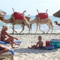 Испорченный отпуск: туристы забронировали отдых в Тунисе, а турфирма отменила рейс. Что делать и кто виноват?