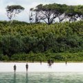 Põhja-Sentineli saar - koht, kus merehädalisi ja randujaid ootab ees vaid noolterahe