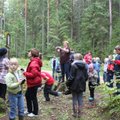 Жители Эстонии дали состоянию окружающей среды оценку "хорошо"