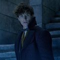 TREILER | Harry Potteri fännid, ühinege! "Fantastilised elukad: Grindelwaldi kuritööd" näeb tõesti fantastiline välja