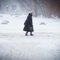 Ilmateenistus: kõige enam lund sadas Saaremaal, lumesadu jätkub ka täna