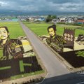 Jaapani põllumehed loovad erivärviliste riisisortide abil põldudele kunstiteoseid