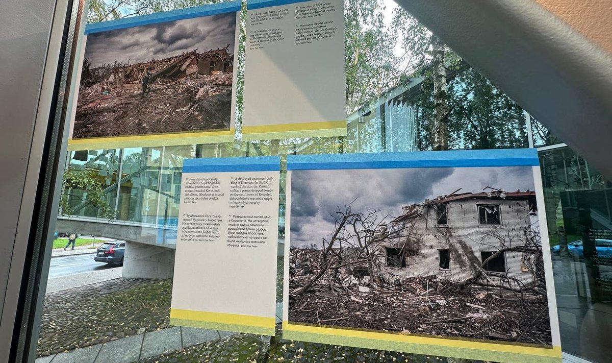 Выставка «В защиту свободы"