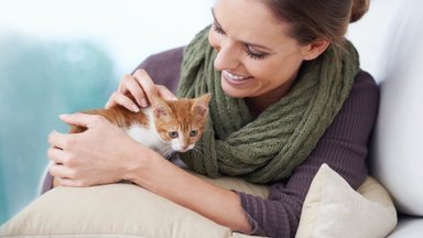 PÕHJALIK TEEJUHT | Mida on vaja teada enne, kui võtta koju kass