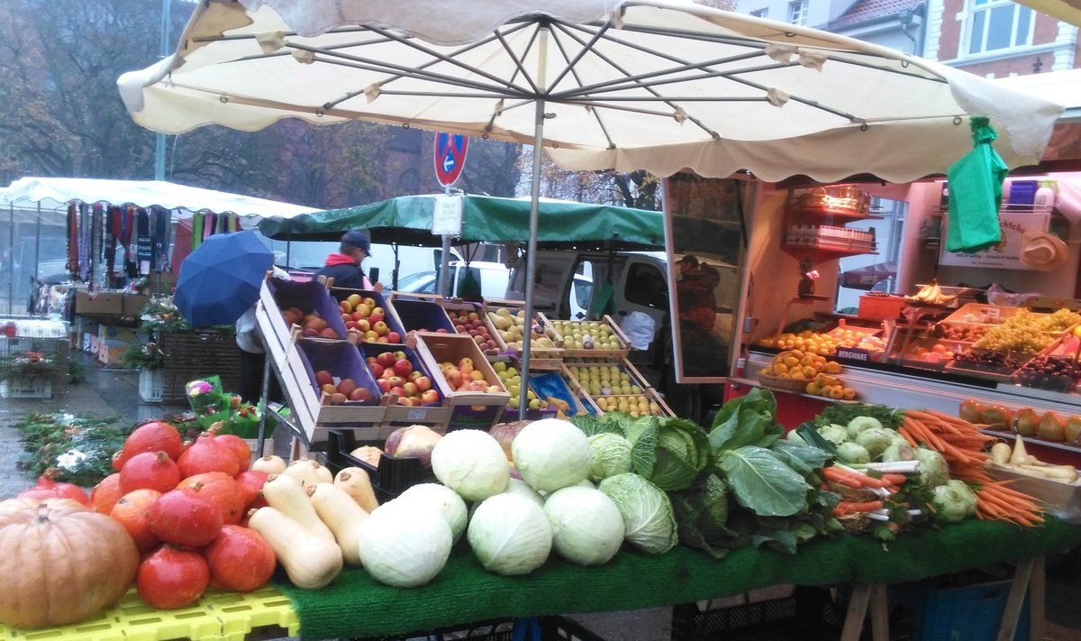 Saksamaal Stralsundis peetakse turgu nädalalõppudel, ja ülekaalus on kodumaine köögivili.