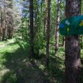 Piirkonnapolitseinik: Kroodi metsaradadelt on oht kõrvaldatud, kuid sellegipoolest tasub olla ettevaatlik