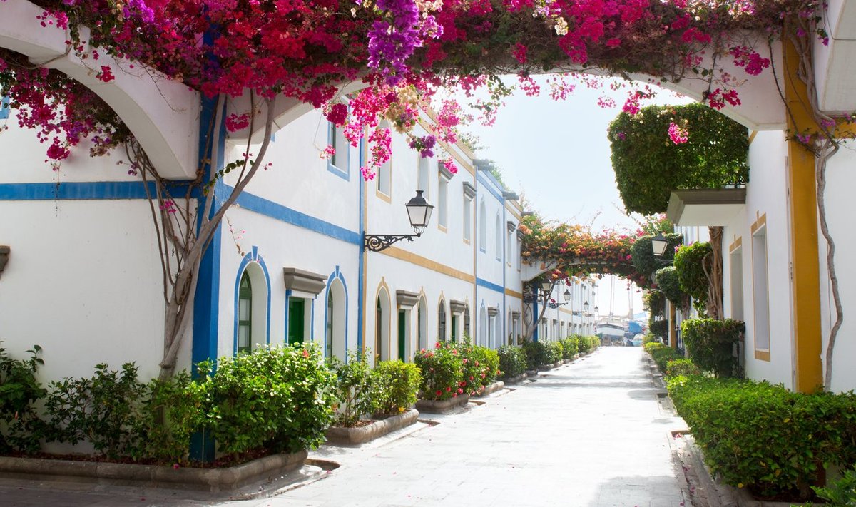 Puerto de Mogáni kaluriküla hakkab silma valgeks võõbatud majade ja rohke lilleiluga. 