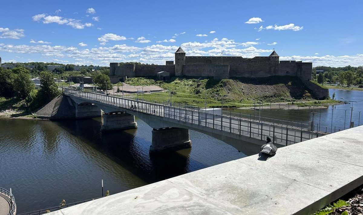 Narva