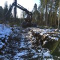 FOTOD | Looduskaitsjaid pahandab metsaraie Soomaa rahvuspargis, keskkonnaamet peab seda teatud tingimustel lubatuks