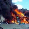 ВИДЕО: В Италии выходец из Сенегала угнал и пытался сжечь школьный автобус вместе с детьми
