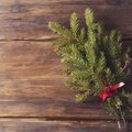5 võimalust kuidas jõulupuud taaskasutada
