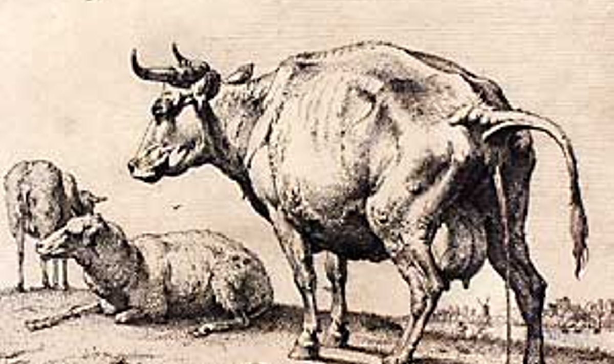 Armsa kodulooma portree: Paulus Potter “Pissiv lehm” (ofort).