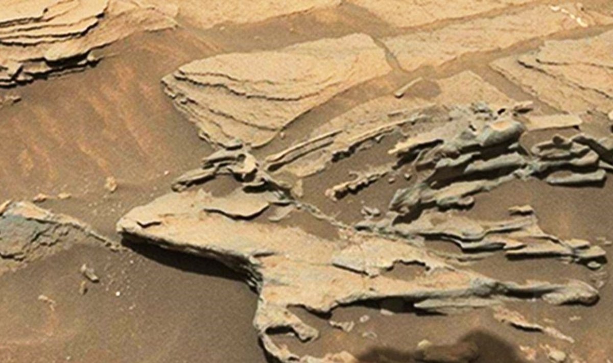 "Hõljuv lusikas" Marsi pinnal on siiski ilmselt silmapete ja tegu on tuule ja päikese vormitud kivimiga. (Foto: NASA)