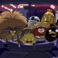 Angry Birdsi looja koondab üle 100 töötaja