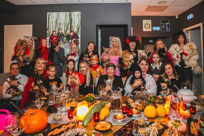 Trikikoerte Halloweeni pidu