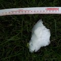 В Мууга упал килограммовый кусок льда — скорее всего, с самолета
