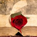 В Нарвской библиотеке пройдет День книги и розы