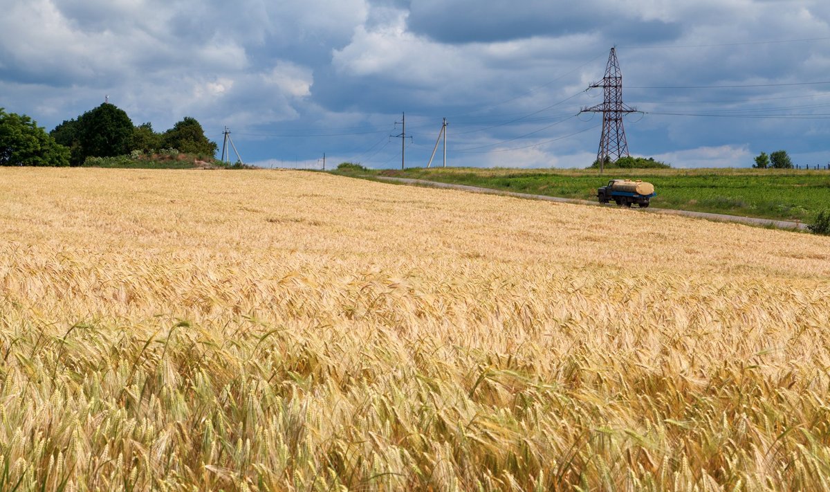 Venemaa juulikuine otsus lahkuda ÜRO toetatud Ukraina teraviljakokkuleppest inflatsiooni mõjutavate võimalike tegurite loetelu ainult pikendada.