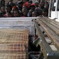 Kurjategijad tapsid Burundi baaris 36 inimest