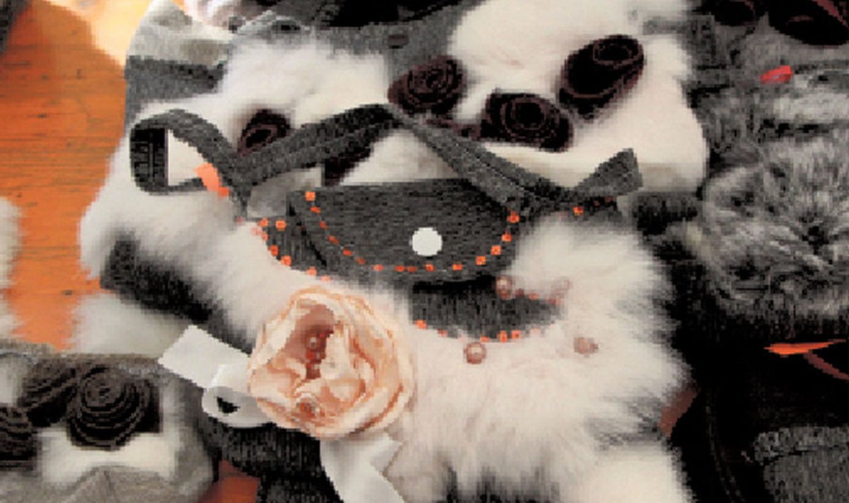 Küülikunahkadega kaunistatud kotid on Janika uudistoode. Oma toodetega osaleb Janika loomadega seotud  üritustel. Kindlasti on ta oma hoolealuste ning nendelt saadud toodetega kohal septembris toimuval näitusel “Tõuloom 2013” .