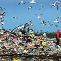 Eesti on Euroopa ohtlike jäätmete tekitamises esirinnas