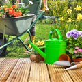 10 вещей, которые нужно успеть сделать в саду в разгар лета