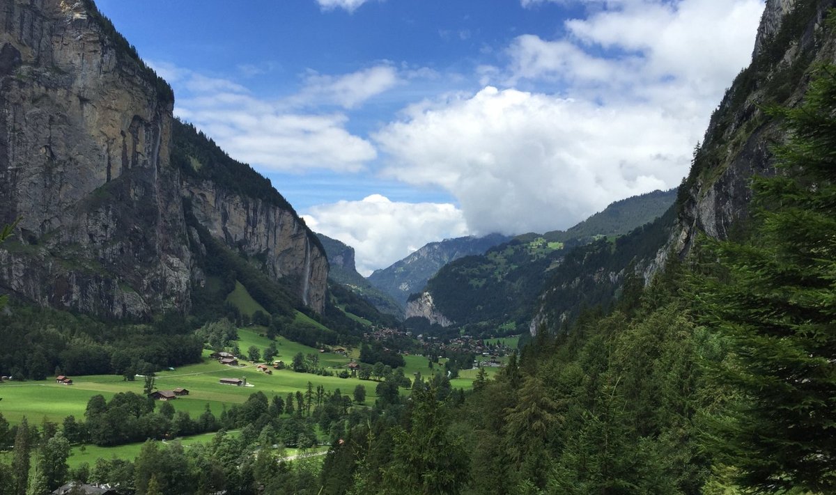 Šveitsi mäestik