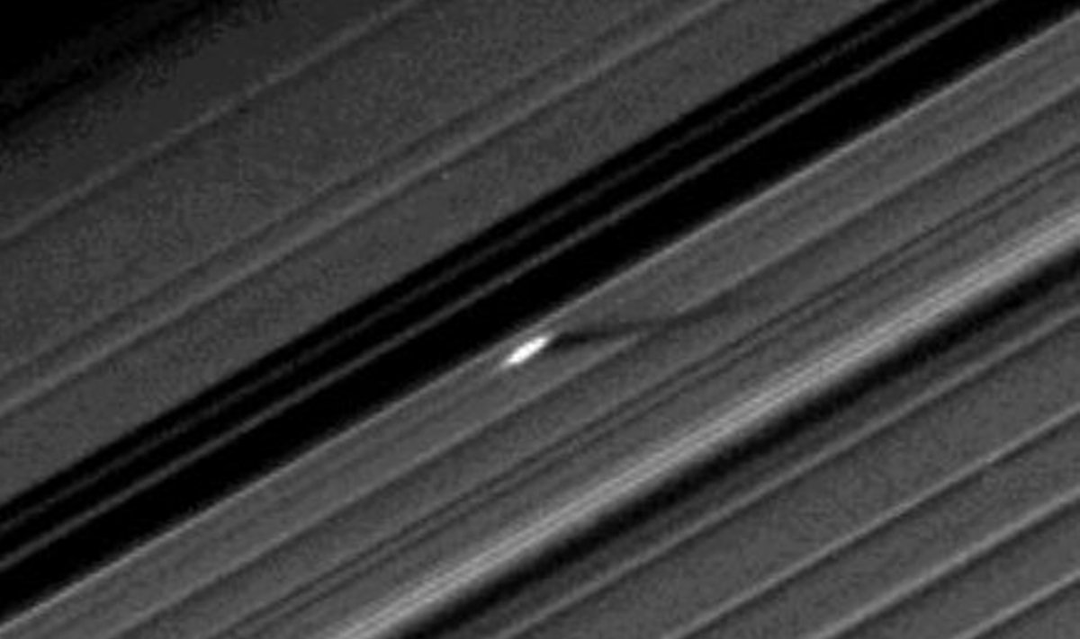 Amalia Earharti järgi nimetatud moodustis Saturni A-rõngal.  Foto: NASA/JPL