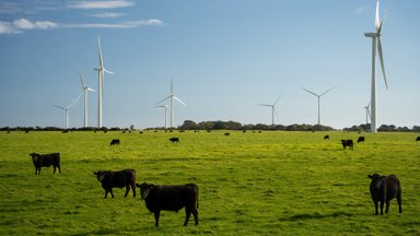 Suur osa Eesti elanikke peab taastuvenergia arendamist oluliseks. Tugevaim on toetus tuuleenergiale