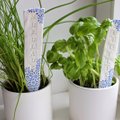 DIY: Lahedad taimesildid emale või vanaemale!