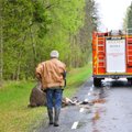 Где в Эстонии чаще всего происходят аварии с участием диких животных
